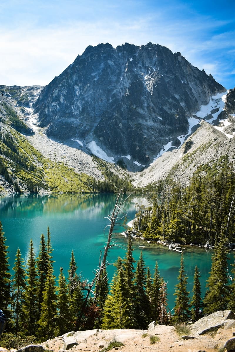 a view of a mountain lake surrounded by pine trees